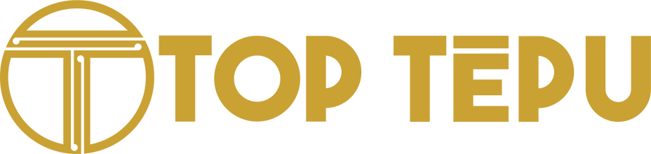 Top Tēpu logo